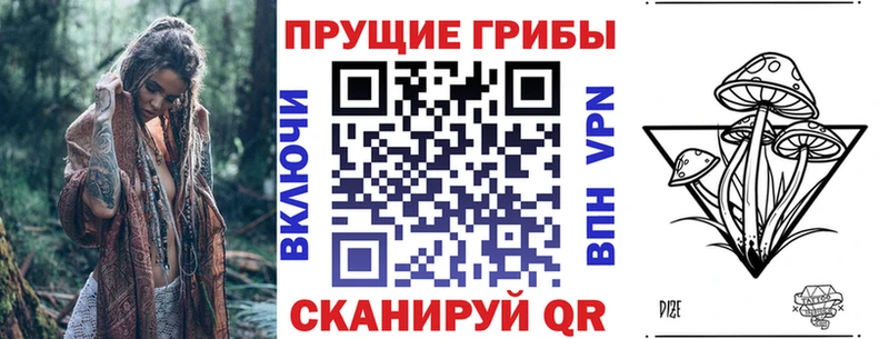 Псилоцибиновые грибы мицелий  купить   Свободный 