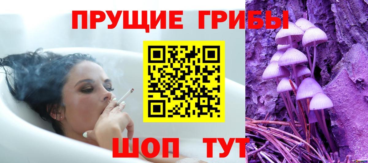 Псилоцибиновые грибы мухоморы Свободный